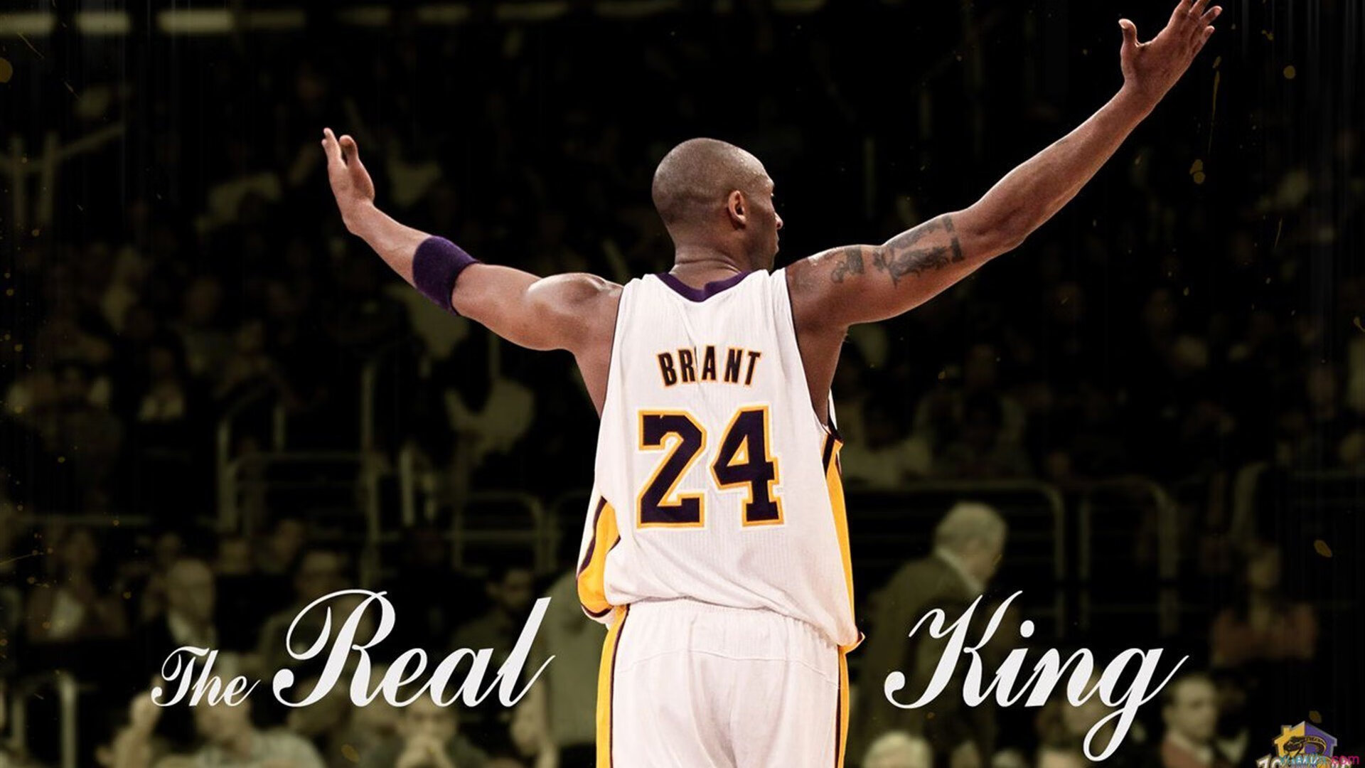 北京鸭打造积极训练氛围提升球队凝聚力，北京鸭队球员名单