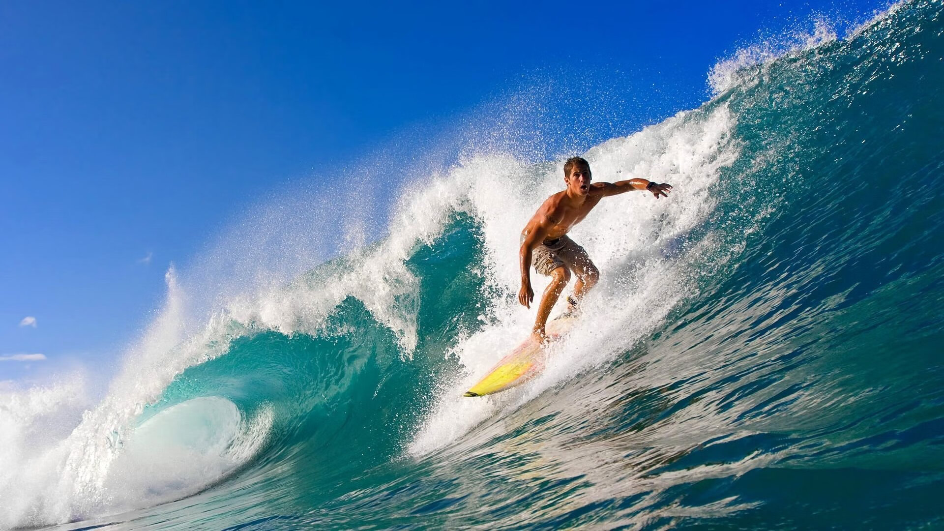 托里·哈斯克赛后分享备战心得,哈利·斯托克维尔