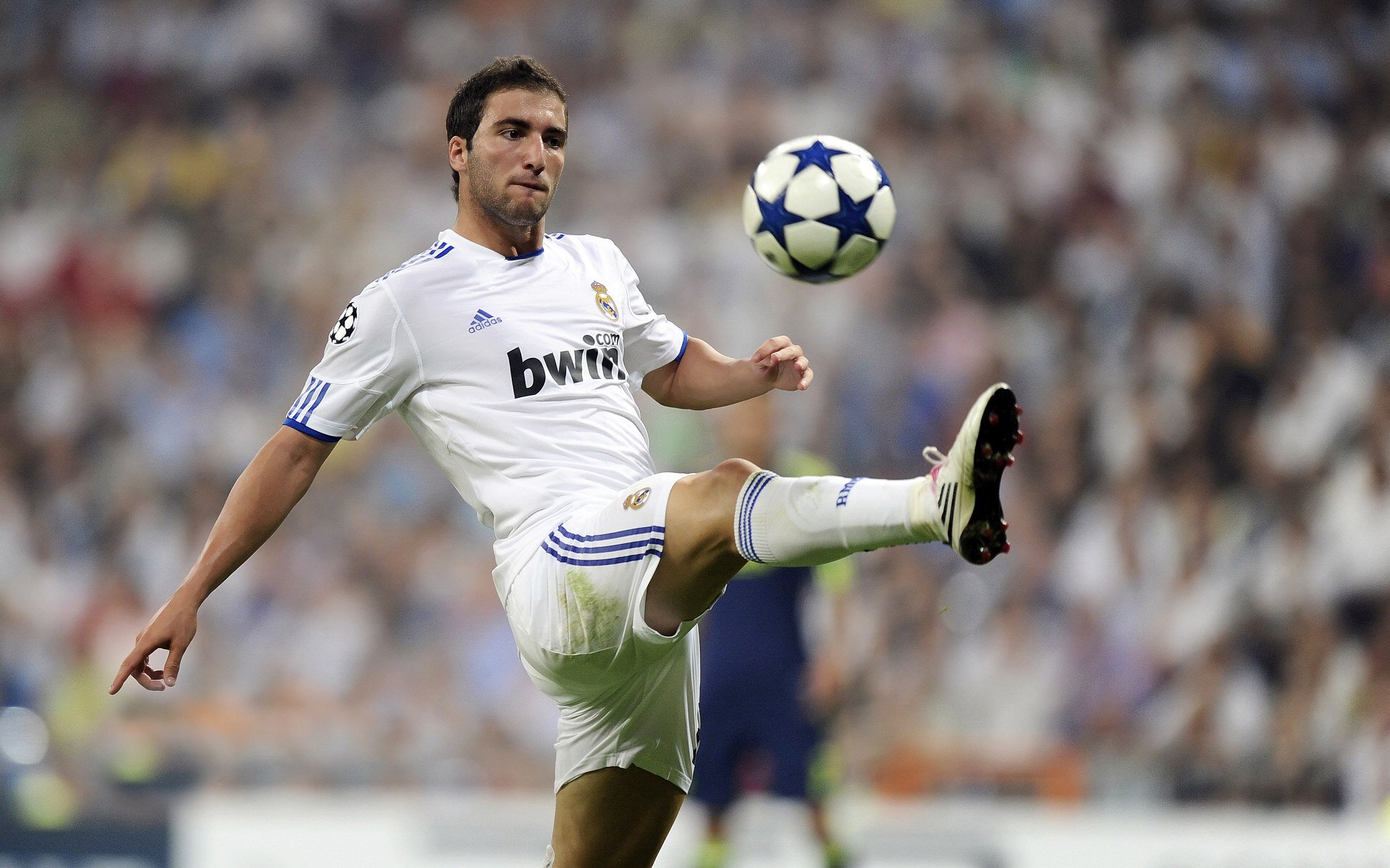 西班牙青年队在欧洲青年赛中表现出色,未来可期